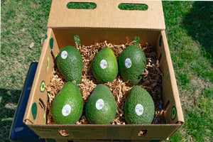 Large 6 Count Avocados- Out of Stock