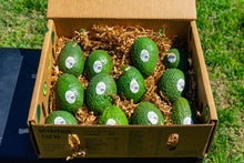 Load image into Gallery viewer, Mini 12 Count Avocados