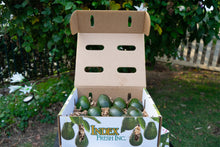 Load image into Gallery viewer, Extra Small 10 Count Avocados