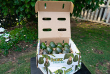 Load image into Gallery viewer, Extra Small 10 Count Avocados