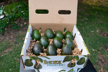 Load image into Gallery viewer, Extra Small 10 Count Avocados