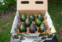 Load image into Gallery viewer, Small 8 Count Avocados
