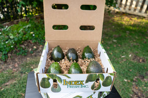 6 Count Avocados Medium