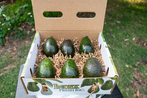 6 Count Avocados Medium