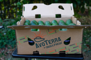 Bulk- 70 count Extra Small Avocados